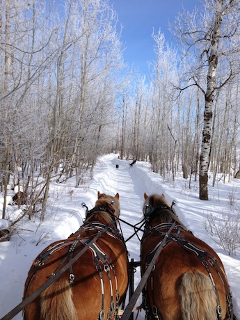 General - Sleigh ride vertical small