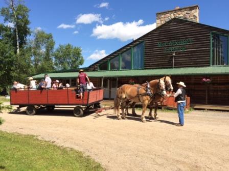 Hay rides at Family Fun Day