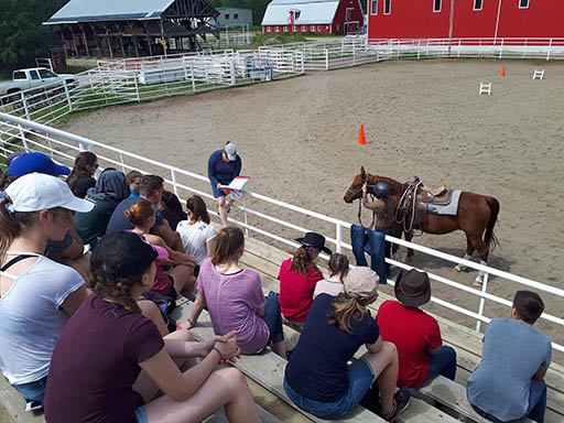 General - Staff 2017 - Horses