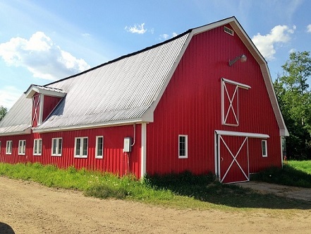 Barn Siding