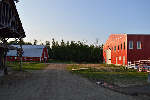 General - Facilities - Barn Area 2