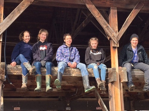 Volunteer teens at Birch Bay Ranch