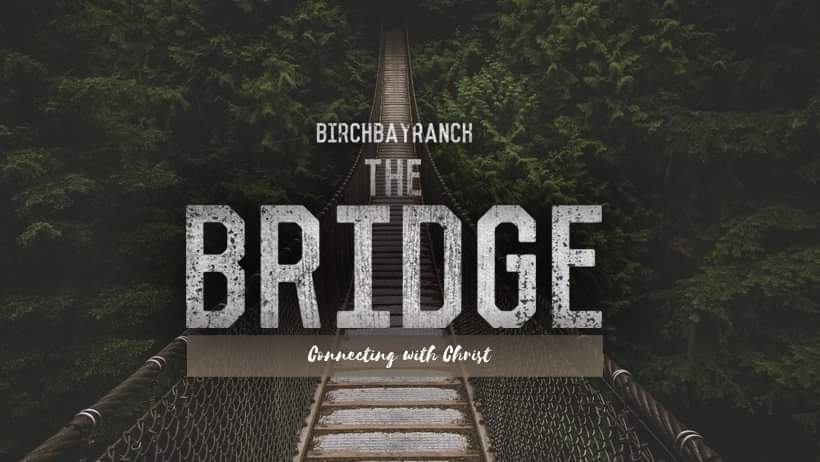 Bridge Group 2019