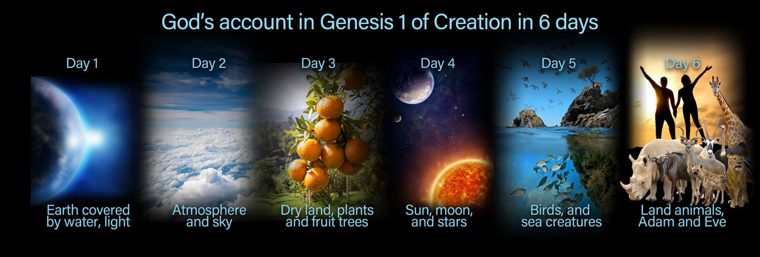 6 days creation image